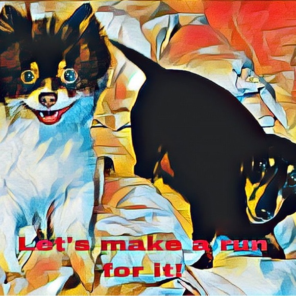 Annette here.  Love visits! Pics of house are with a i projections. - Picture 4 of 11